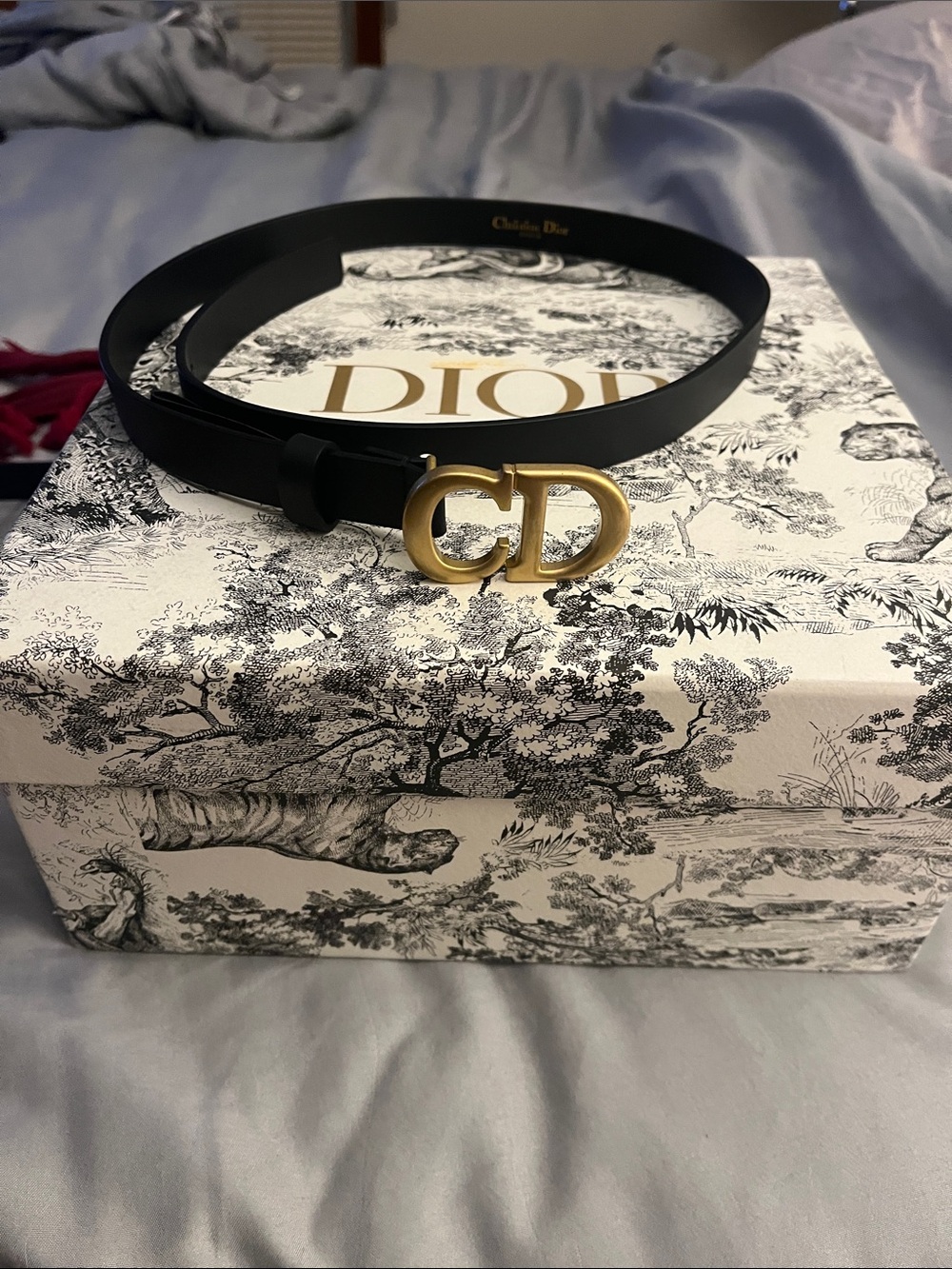 Dior Black Leather Belt with Gold CD Buckle